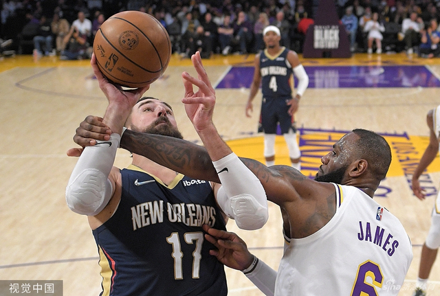 子布朗尼极 子布朗尼极